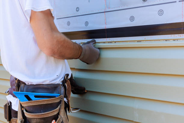 Best Siding for Commercial Buildings  in Hallsville, MO